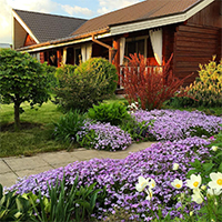 Ковер из Флокса Шиловидного